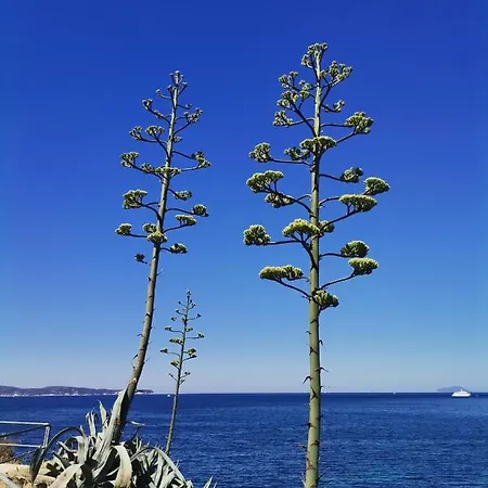 게스트하우스 Antica *